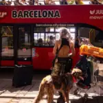 Barcelona dismantles the drug addicts' camp on Montjuïc mountain