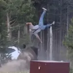Tourist seriously injured after being charged by an angry bison in Yellowstone