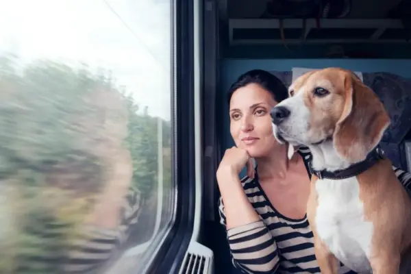 Renfe will allow travel with dogs up to 40 kilos on all its trains from July 21: price, requirements, and exclusions