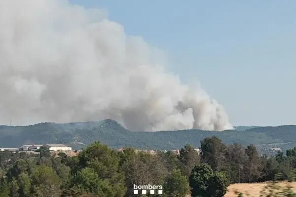 58-year-old man arrested for causing three forest fires in l'Anoia
