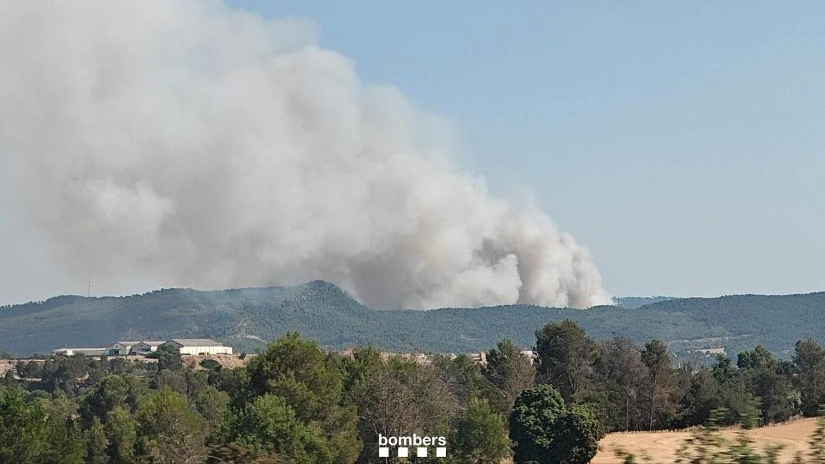 58-year-old man arrested for causing three forest fires in l'Anoia