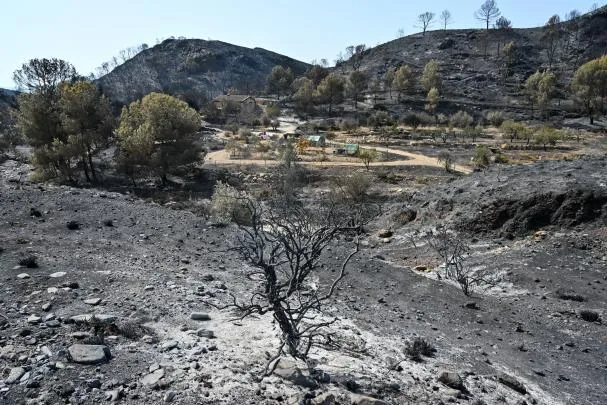 View of the burned area in the Almerian municipality of Béda. The area affected by the forest fire originated in Los Gallardos (Almería), with thirteen dead, exceeds 7,000 hectares.