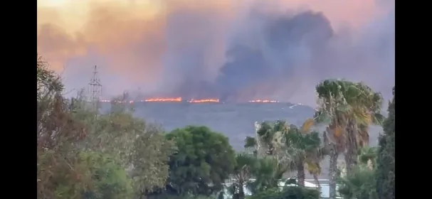 Las palmeras del camping y, detrás, el fuego que el jueves amenazó el complejo
