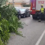 A thermal burst knocks down trees and rips off awnings in the interior of Alicante