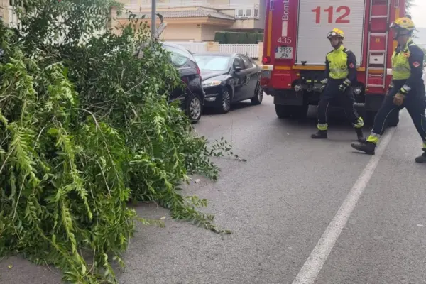 A thermal burst knocks down trees and rips off awnings in the interior of Alicante