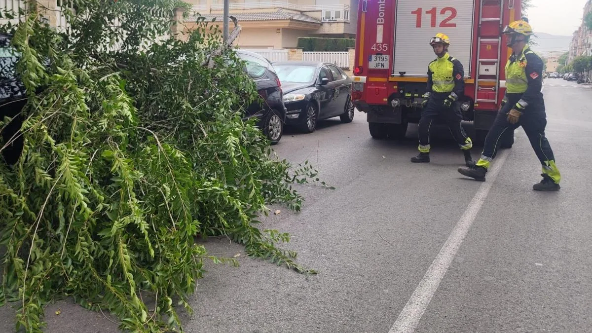 A thermal burst knocks down trees and rips off awnings in the interior of Alicante