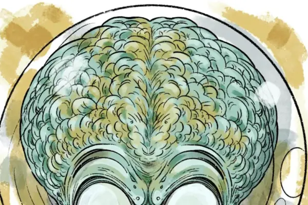 The World Cup seen from beyond