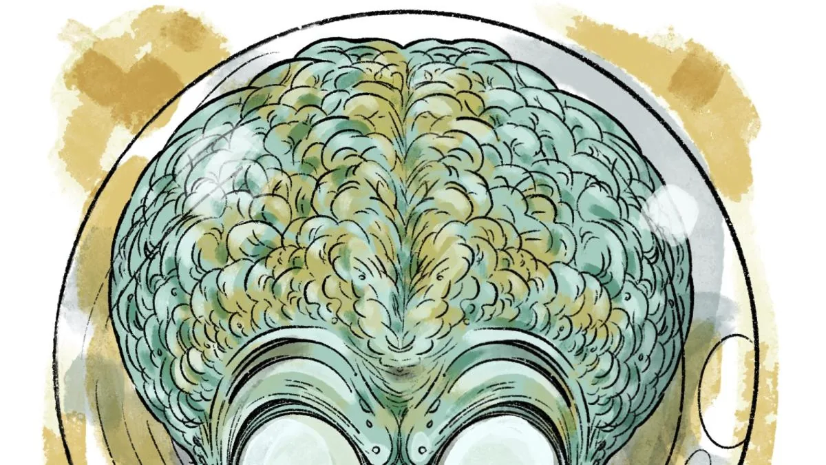 The World Cup seen from beyond
