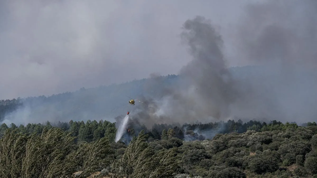Twelve municipalities evacuated due to the Mierla fire in Guadalajara