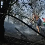 Slight optimism over the evolution of the fire in Madrid, Ávila, and Toledo