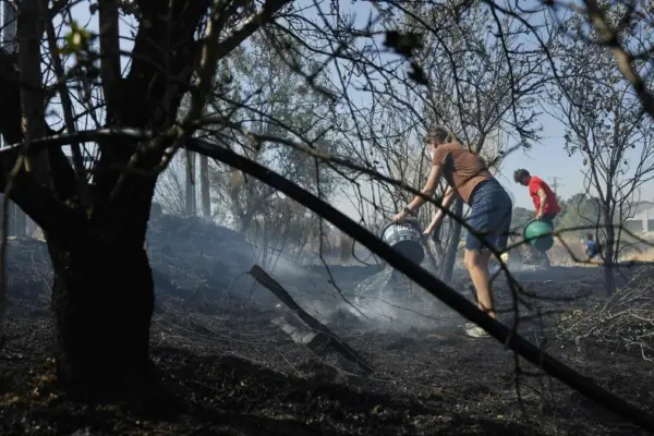 Slight optimism over the evolution of the fire in Madrid, Ávila, and Toledo