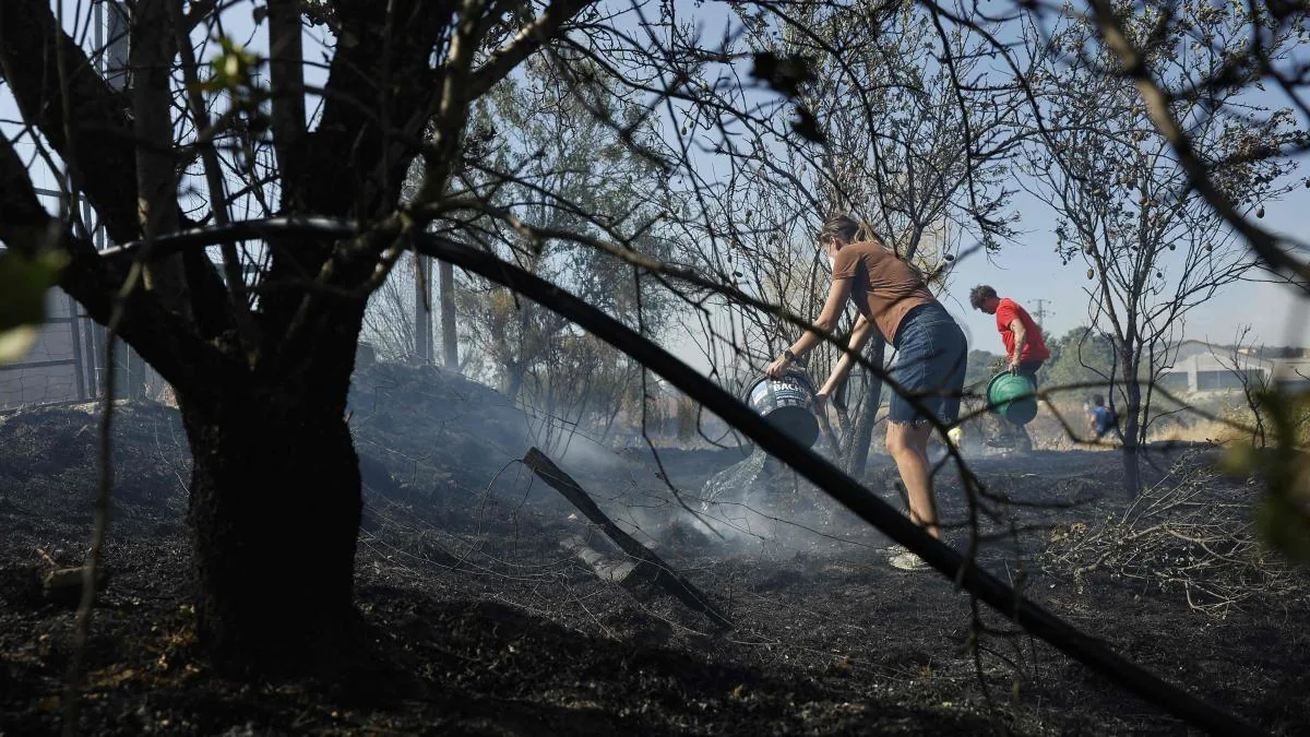 Slight optimism over the evolution of the fire in Madrid, Ávila, and Toledo