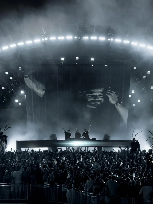 During the 'opening' of Swedish House Mafia
