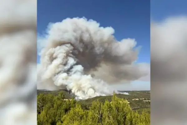 Firefighters try to control a forest fire in Rubió, which is already burning 47 hectares