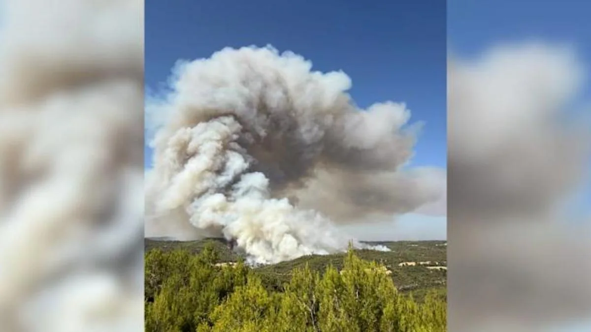 Firefighters try to control a forest fire in Rubió, which is already burning 47 hectares