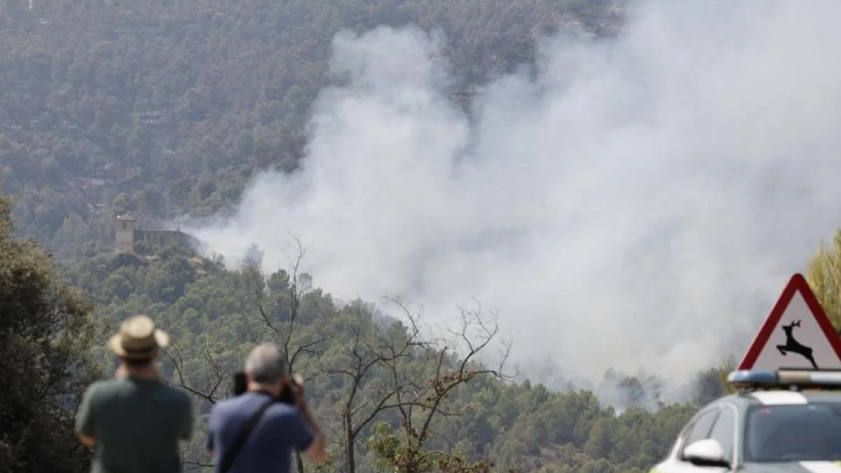 Fire pollution drives up hospital admissions