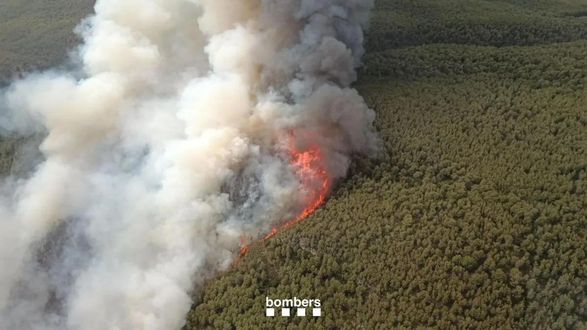 A repeat arsonist turns summer into a nightmare in Aiguamúrcia