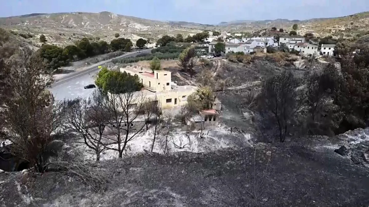 Wildfires have burned 150% more hectares than in 2025 around this time