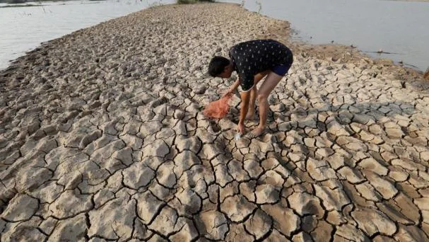 A Cambodian hunts fish in Nom Pen, Cambodia, during a drought due to the effects of the climatic phenomenon “El Niño.” EFE/ Mak Remissa