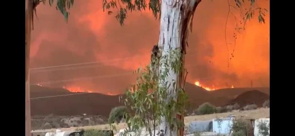Las caravanas del camping y, detrás, el fuego que el jueves amenazó el complejo