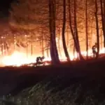 The Guadalajara fire has already burned 26,000 hectares and forced the evacuation of 34 towns