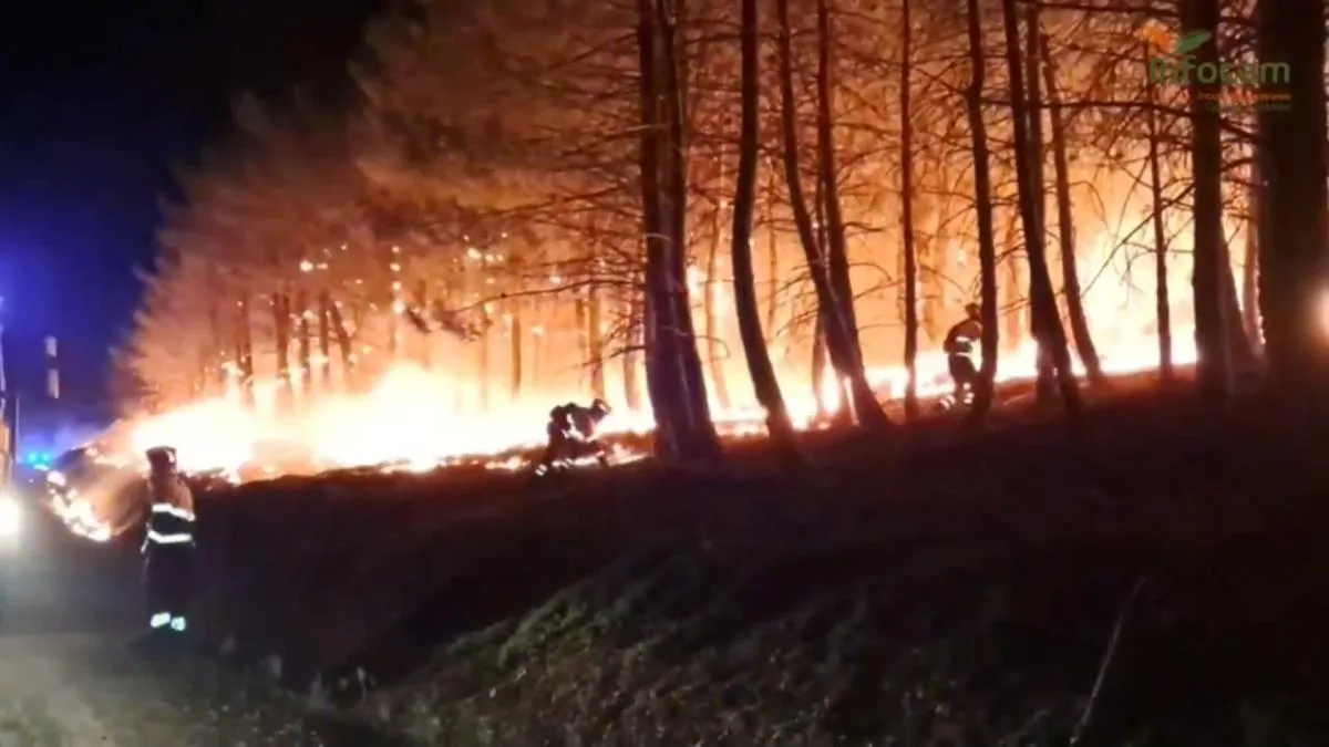 The Guadalajara fire has already burned 26,000 hectares and forced the evacuation of 34 towns