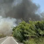 Fire stabilized that forced the closure of the B-250 in El Prat de Llobregat and one lane of the Ronda de Dalt