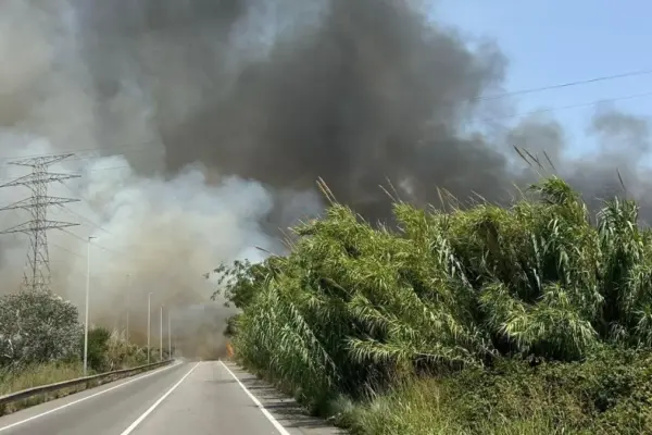 Fire stabilized that forced the closure of the B-250 in El Prat de Llobregat and one lane of the Ronda de Dalt