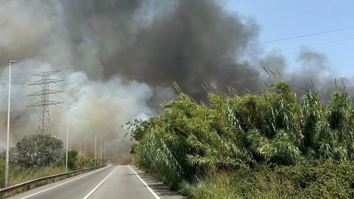 Fire stabilized that forced the closure of the B-250 in El Prat de Llobregat and one lane of the Ronda de Dalt