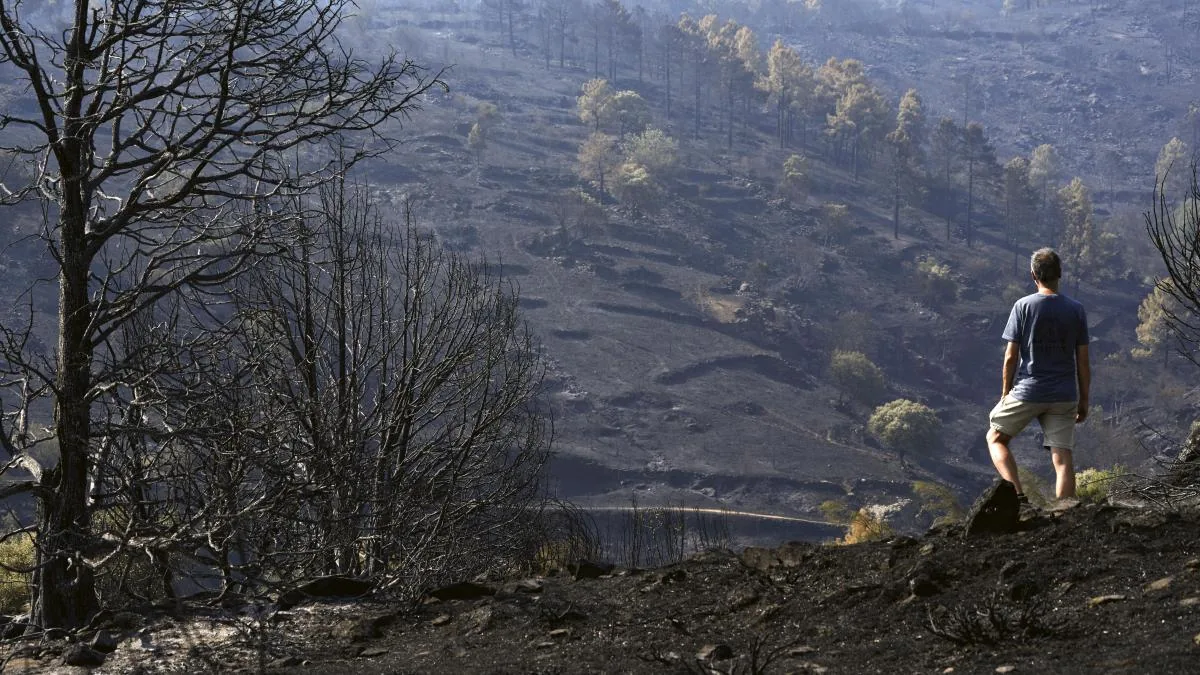 Climate change has multiplied by 20 the conditions favorable for fires in the central peninsula