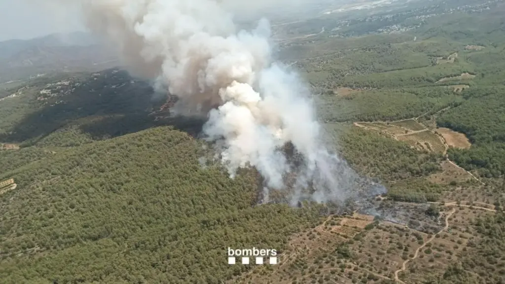 The start of the long heat wave brings forest fires back to Catalonia