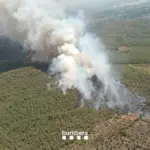 The start of the long heat wave brings forest fires back to Catalonia