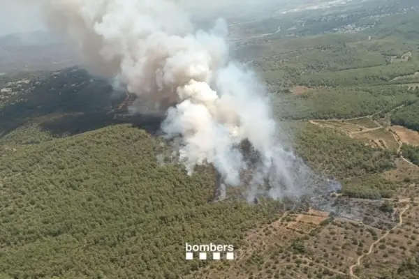 The start of the long heat wave brings forest fires back to Catalonia