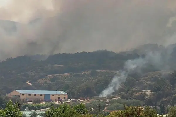 The simultaneity of forest fires in Madrid makes extinction work difficult