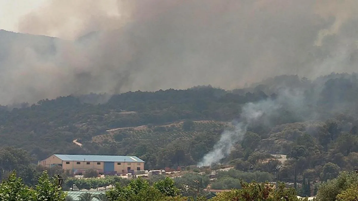 The simultaneity of forest fires in Madrid makes extinction work difficult