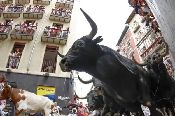 Four hospital transfers in the penultimate San Fermín running of the bulls