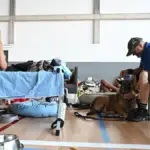 Pain in coming home: starting over