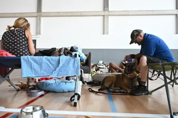 Pain in coming home: starting over