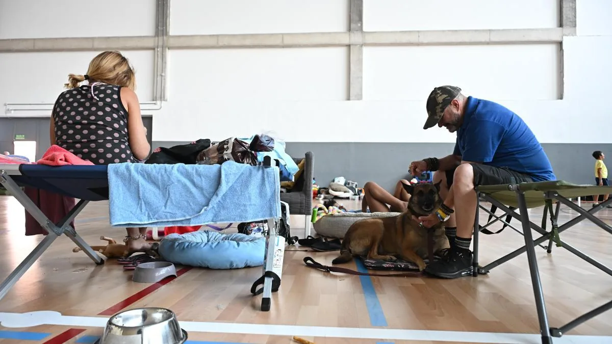Pain in coming home: starting over