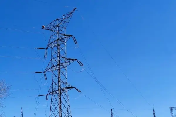 Red Eléctrica once again asks industry to halt