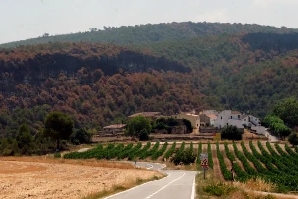 The fire forced the evacuation of two residential areas and the confinement of five towns