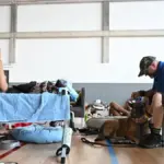 The fight against the fire progresses: 48,000 residents can return to their homes or leave them