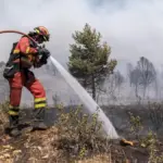 The Guadalajara fire affects a quarter of the Sierra Norte natural park, an enclave of valuable forests and a wolf habitat
