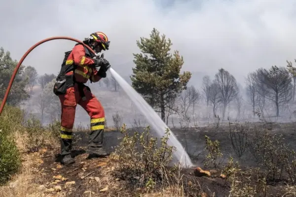 The Guadalajara fire affects a quarter of the Sierra Norte natural park, an enclave of valuable forests and a wolf habitat