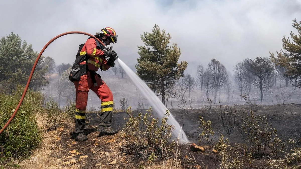 The Guadalajara fire affects a quarter of the Sierra Norte natural park, an enclave of valuable forests and a wolf habitat