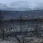 La Mierla: desolation and outrage over one of Spain's biggest fires