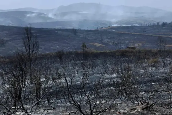 La Mierla: desolation and outrage over one of Spain's biggest fires