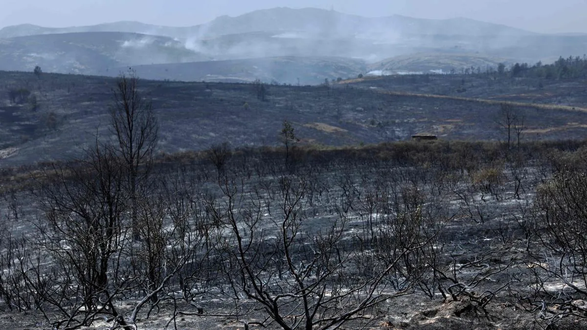La Mierla: desolation and outrage over one of Spain's biggest fires
