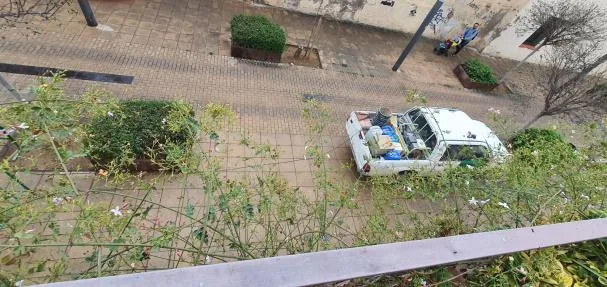 La brigada municipal ante los árboles secos por falta de riego en la calle del Cos .
