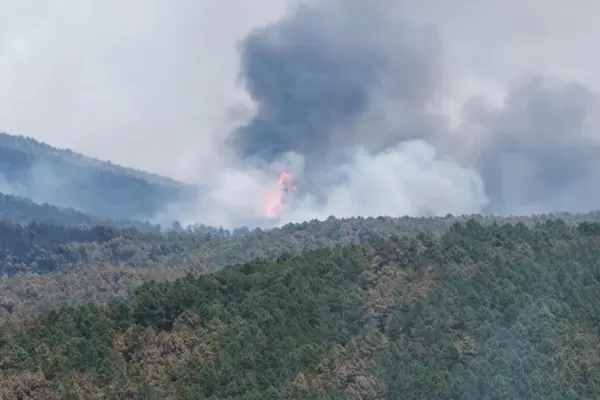The Guadalajara fire exceeds 12,000 hectares burned and 700 evacuated in 16 municipalities